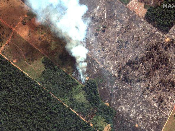 Amazona, foto satelirore që tregon zjarret dhe shpyllëzimin