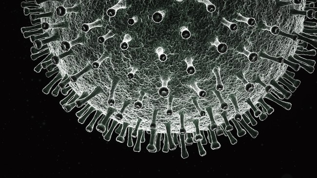 Snímek: Čína potvrdila svůj závazek najít pravdu o původu viru COVID-19 s globálními partnery na základě vědeckého přístupu. /CFP<br><br>