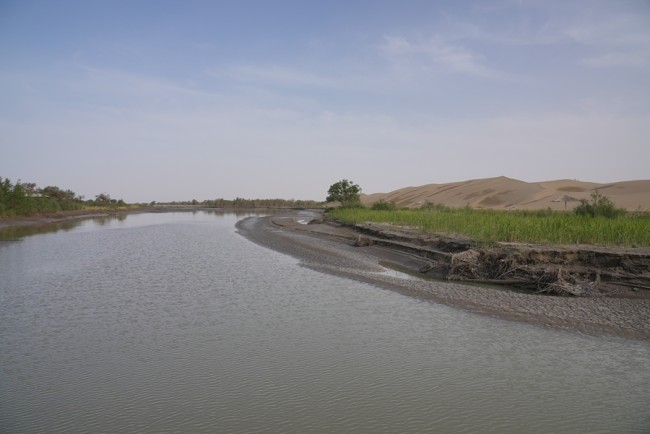 Λόγω της υπερβολικής άρδευσης, τα χαμηλότερα σημεία του ποταμού Ταρίμ που είναι ο μακρύτερος εσωτερικός ποταμός της Κίνας, ξεράθηκαν στις αρχές της δεκαετίας του 1970, φέρνοντας τα γύρω δέντρα στα πρόθυρα της εξαφάνισης. Μετά από χρόνια προσπαθειών αποκατάστασης, ο ποταμός έχει πλέον ανακτήσει την παλιά του δόξα. (φωτογραφία / People’s Daily Online)