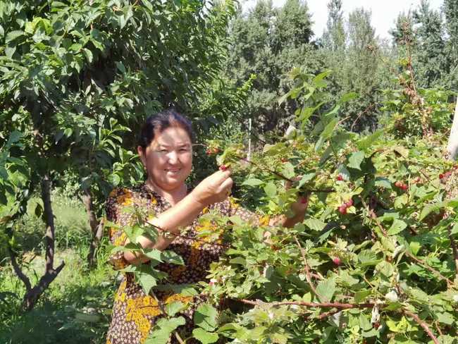 Greul a trecut. Povestea unei familii de fermieri din Usu