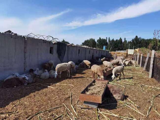 Greul a trecut. Povestea unei familii de fermieri din Usu Greul a trecut. Povestea unei familii de fermieri din Usu